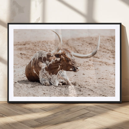 25407592-MGC-FP-36x24_Black-Texas Longhorn Wall Art Canvas Print, Framed Resting Bull Art Picture Print, Spotted Cattle Perfect Rustic Western Decor Artwork