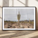 96147924-MGC-FP-36x24_Black-Saguaro Cactus Wall Art Canvas Print, Framed Desert Cactus Art Picture Print, Earthy Desert Perfect Southwestern Boho Decor