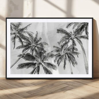 62113786-MGC-FP-36x24_Black-Black White Palm Wall Art Canvas Print, Framed Monochrome Tropics Art Picture Print, Minimalist Beach Perfect Coastal Minimalist