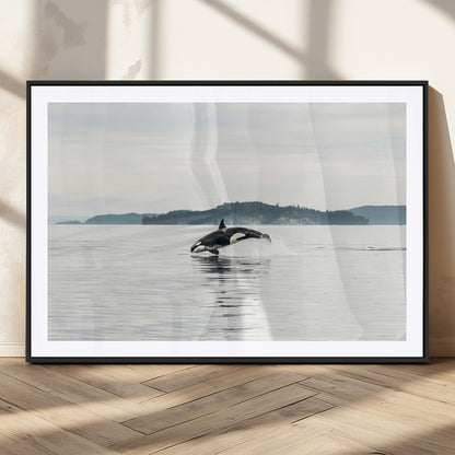10157174-MGC-FP-36x24_Black-Orca Whale Wall Art Canvas Print, Framed Black White Whale Art Picture Print, Minimalist Ocean Perfect Coastal Minimalist Decor