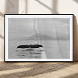 30524220-MGC-FP-36x24_Black-Whale Tail Wall Art Canvas Print, Framed Black White Ocean Art Picture Print, Calm Marine Perfect Minimalist Coastal Decor Artwork