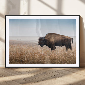 99620201-MGC-FP-36x24_Black-Wild Bison Wall Art Canvas Print, Framed Bison in Prairie Art Picture Print, Rustic Western Perfect Rustic Western Decor Artwork