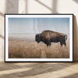 99620201-MGC-FP-36x24_Black-Wild Bison Wall Art Canvas Print, Framed Bison in Prairie Art Picture Print, Rustic Western Perfect Rustic Western Decor Artwork