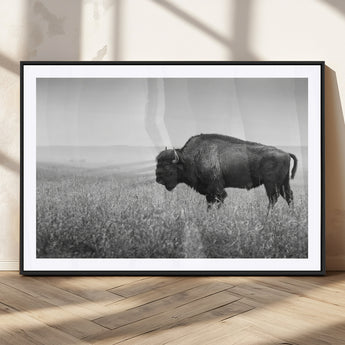 28435251-MGC-FP-36x24_Black-Bison In Prairie Wall Art Canvas Print, Framed Rustic Wildlife Art Picture Print, Wild Buffalo Perfect Rustic Western Decor
