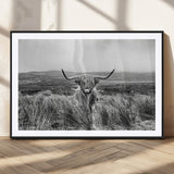 24051061-MGC-FP-36x24_Black-Monochrome Highland Cow Wall Art Canvas Print, Framed Scottish Bull Art Picture Print, Lone Cattle Perfect Rustic Farmhouse Decor