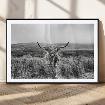 24051061-MGC-FP-36x24_Black-Monochrome Highland Cow Wall Art Canvas Print, Framed Scottish Bull Art Picture Print, Lone Cattle Perfect Rustic Farmhouse Decor