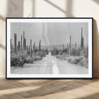 35537313-MGC-FP-36x24_Black-Monochrome Desert Wall Art Canvas Print, Framed Cactus Path Art Picture Print, Southwestern Landscape Perfect Southwestern