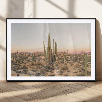 76234974-MGC-FP-36x24_Black-Desert Cactus Wall Art Canvas Print, Framed Baja Desert Art Picture Print, Pastel Desert Perfect Southwestern Boho Decor Artwork