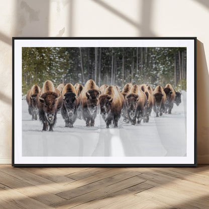22695857-MGV-CV-36X24-Bison Herd Scene Wall Art Canvas Print, Framed Western Wildlife Art Picture Print, Rustic Animal Art Perfect Rustic Lodge Decor