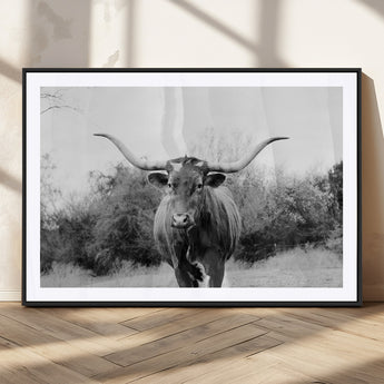 97280319-MGC-FP-36x24_Black-Longhorn Photography Wall Art Canvas Print, Framed Western Cow Decor Art Picture Print, Texas Ranch Style Perfect Rustic Farmhouse