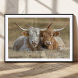 53388593-MGC-FP-36x24_Black-Cow Photography Wall Art Canvas Print, Framed Rustic Animal Decor Art Picture Print, Texas Cow Pair Perfect Western Farmhouse