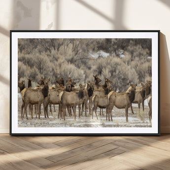 90269422-MGC-FP-36x24_Black-Elk Herd Scene Wall Art Canvas Print, Framed Rustic Wildlife Decor Art Picture Print, Western Cabin Style Perfect Rustic Lodge