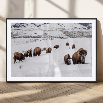 13891210-MGV-CV-36X24-Bison Herd Scene Wall Art Canvas Print, Framed Western Wildlife Decor Art Picture Print, Snowy Mountain Valley Perfect Rustic