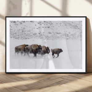 56216945-MGC-FP-36x24_Black-Bison Herd Decor Wall Art Canvas Print, Framed Snowy Bison Scene Art Picture Print, Winter Wildlife Theme Perfect Rustic Western