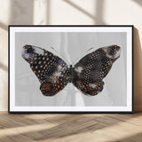 99831147-MGV-CV-36X24-Spotted Butterfly Wall Art Canvas Print, Framed Neutral Insect Theme Art Picture Print, Earthy Wing Pattern Perfect Modern Rustic