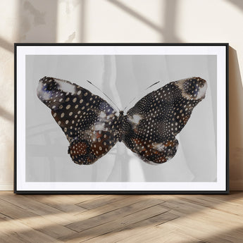 99831147-MGV-CV-36X24-Spotted Butterfly Wall Art Canvas Print, Framed Neutral Insect Theme Art Picture Print, Earthy Wing Pattern Perfect Modern Rustic