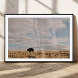 22754563-MGV-CV-36X24-Earthy Tones Wall Art Canvas Print, Framed Rustic Nature Art Picture Print, Solitary Buffalo Perfect Western Minimalist Decor