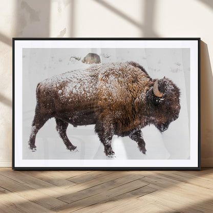 94261165-MGC-FP-36x24_Black-Snowy Buffalo Wall Art Canvas Print, Framed Wildlife Photography Art Picture Print, Brown Tones Perfect Rustic Lodge Decor Decor