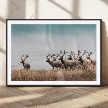 81594705-MGV-CV-36X24-Elk Herd Wall Art Canvas Print, Framed Wildlife Photography Art Picture Print, Rustic Nature Print Perfect Rustic Wildlife Decor