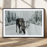 13316292-MGC-FP-36x24_Black-Moose in Snow Wall Art Canvas Print, Framed Winter Wildlife Art Picture Print, Snowy Forest Scene Perfect Rustic Lodge Decor