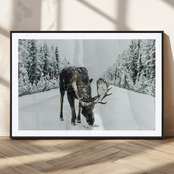 13316292-MGC-FP-36x24_Black-Moose in Snow Wall Art Canvas Print, Framed Winter Wildlife Art Picture Print, Snowy Forest Scene Perfect Rustic Lodge Decor