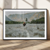 41674074-MGC-FP-36x24_Black-Bison Wall Art – American Buffalo Wildlife Photography Canvas Print, Western Mountain Landscape Artwork Rustic Nature Decor for