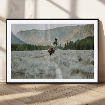 41674074-MGC-FP-36x24_Black-Bison Wall Art – American Buffalo Wildlife Photography Canvas Print, Western Mountain Landscape Artwork Rustic Nature Decor for