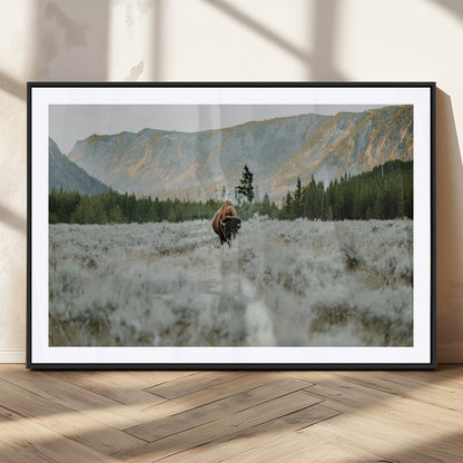 41674074-MGC-FP-36x24_Black-Bison Wall Art – American Buffalo Wildlife Photography Canvas Print, Western Mountain Landscape Artwork Rustic Nature Decor for