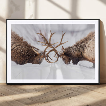 99240306-MGV-CV-36X24-Elk Wall Art – Two Bull Elk Fighting in Snow Canvas Print, Rustic Wildlife Artwork for Cabin, Lodge, Western Farmhouse, Nature &