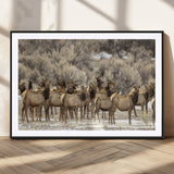 93076148-MGC-FP-36x24_Black-Elk Herd Wall Art – Wildlife Canvas Print of Elk in Winter Landscape, Rustic Western Cabin & Lodge Décor, Nature Photography for