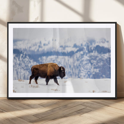 21623194-MGC-FP-36x24_Black-Snow Bison Wall Art – Majestic Buffalo Wildlife Canvas Print, Winter Nature Décor for Rustic Living Room, Farmhouse, Cabin, Lodge
