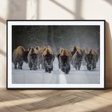 30332489-MGC-FP-36x24_Black-Winter Bison Herd Wall Art – Powerful Buffalo Canvas Print, Rustic Wildlife Photography Decor for Farmhouse, Cabin, Lodge, Living