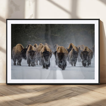 30332489-MGC-FP-36x24_Black-Winter Bison Herd Wall Art – Powerful Buffalo Canvas Print, Rustic Wildlife Photography Decor for Farmhouse, Cabin, Lodge, Living