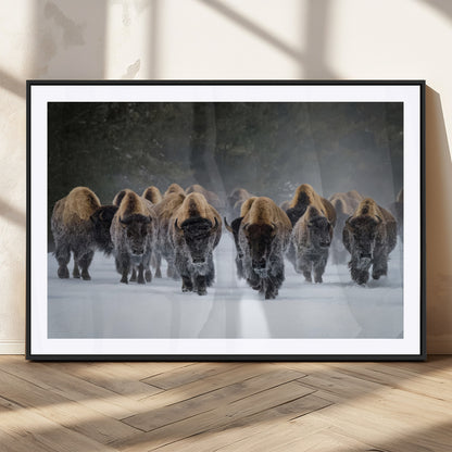30332489-MGC-FP-36x24_Black-Winter Bison Herd Wall Art – Powerful Buffalo Canvas Print, Rustic Wildlife Photography Decor for Farmhouse, Cabin, Lodge, Living