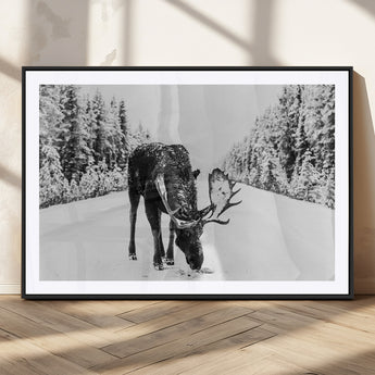 38956835-MGC-FP-36x24_Black-Moose Winter Snowy Forest Canvas Wall Art – Wildlife Nature, Antlers in Frozen Landscape, Quiet Path, Cold Season Outdoors Print