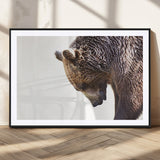 14405507-MGC-FP-36x24_Black-Bear Wall Art – Wildlife Canvas Print with Rustic Animal Portrait and Minimalist Background, Nature Inspired Photography for