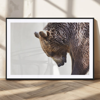 14405507-MGC-FP-36x24_Black-Bear Wall Art – Wildlife Canvas Print with Rustic Animal Portrait and Minimalist Background, Nature Inspired Photography for