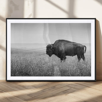 90861202-MGC-FP-36x24_Black-Black and White Bison Canvas Wall Art – Rustic American Buffalo Print, Western Wildlife Photography for Farmhouse, Cabin, Office