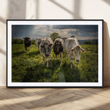 67277447-MGC-FP-36x24_Black-Farmhouse Wall Art – Herd of Cows Canvas Print, Rustic Country Pasture Photography Decor for Bedroom, Living Room, Office, Ranch,