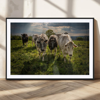 67277447-MGC-FP-36x24_Black-Farmhouse Wall Art – Herd of Cows Canvas Print, Rustic Country Pasture Photography Decor for Bedroom, Living Room, Office, Ranch,