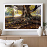 53335-MGV-CV-36X24-Majestic Tree with Sprawling Roots Wall Art – Serene Sunlit Park Scene, Nature Canvas Print, Perfect for Living Room, Office or