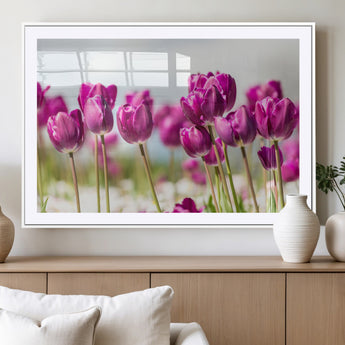 30632-MGV-CV-36X24-Purple Tulip Field Wall Art – Beautiful Spring Flowers Canvas Print with Soft Focus and Bright Sky, Ideal Floral Decor for Home or