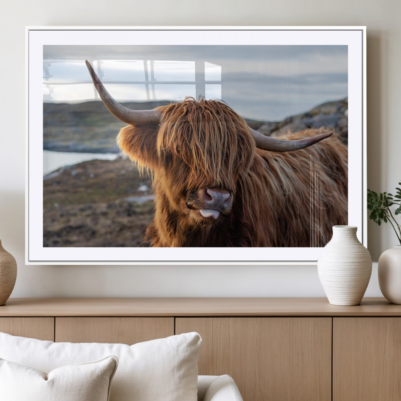 71222-MGV-CV-36X24-A playful Highland cow with shaggy fur sticks out its tongue, set against a rugged landscape — perfect for quirky home or office