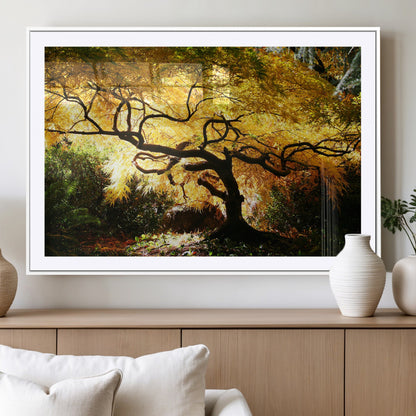 19067-MGC-FP-36x24_White-Golden Canopy Wall Art – Panoramic Autumn Tree Canvas Print, Warm Seasonal Decor for Living Room, Office or Garden Space