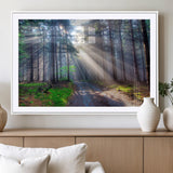 42047-MGV-CV-36X24-Sunlit Forest Path Wall Art – Nature Canvas Print, Serene Woodland Landscape, Perfect Home & Office Decor for Calm and Tranquil