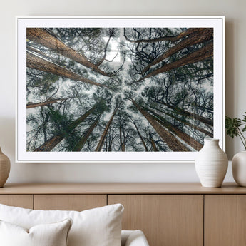 18790-MGV-CV-36X24-Pine Canopy Wall Art – Panoramic View of Towering Pines Canvas Print, Nature-Inspired Decor for Office, Cabin or Living Room