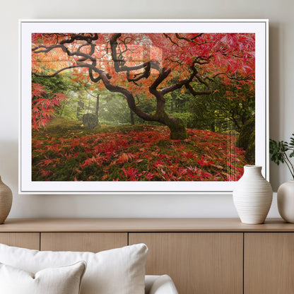 73343-MGV-CV-36X24-Autumn Maple Wall Art – Panoramic Vibrant Red Maple Tree Canvas Print, Seasonal Nature Decor for Office, Living Room or Garden