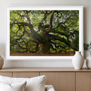 29407-MGC-FP-36x24_White-Ancient Oak Tree Wall Art – Majestic Nature Canvas Print, Large Tree Photography Decor for Living Room