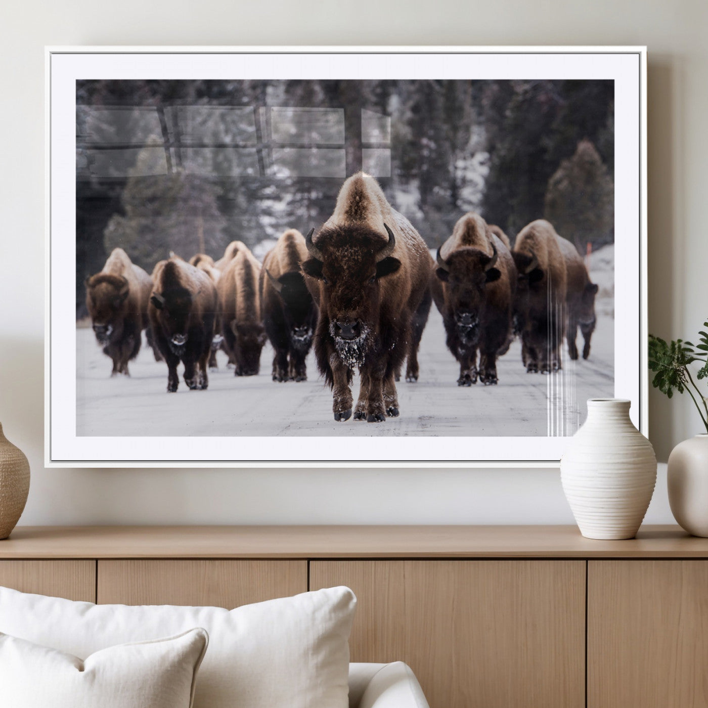 66871-MGC-FP-36x24_White-Bison Herd Wall Art – Wildlife Buffalo Canvas Print, Rustic Western Nature Photography Decor for Living Room, Office, Cabin, or