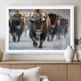 80512-MGC-FP-36x24_White-Bison Herd Wall Art – Buffalo Running in Snow Canvas Print, Rustic Wildlife Photography Decor for Cabin, Lodge, or Living Room